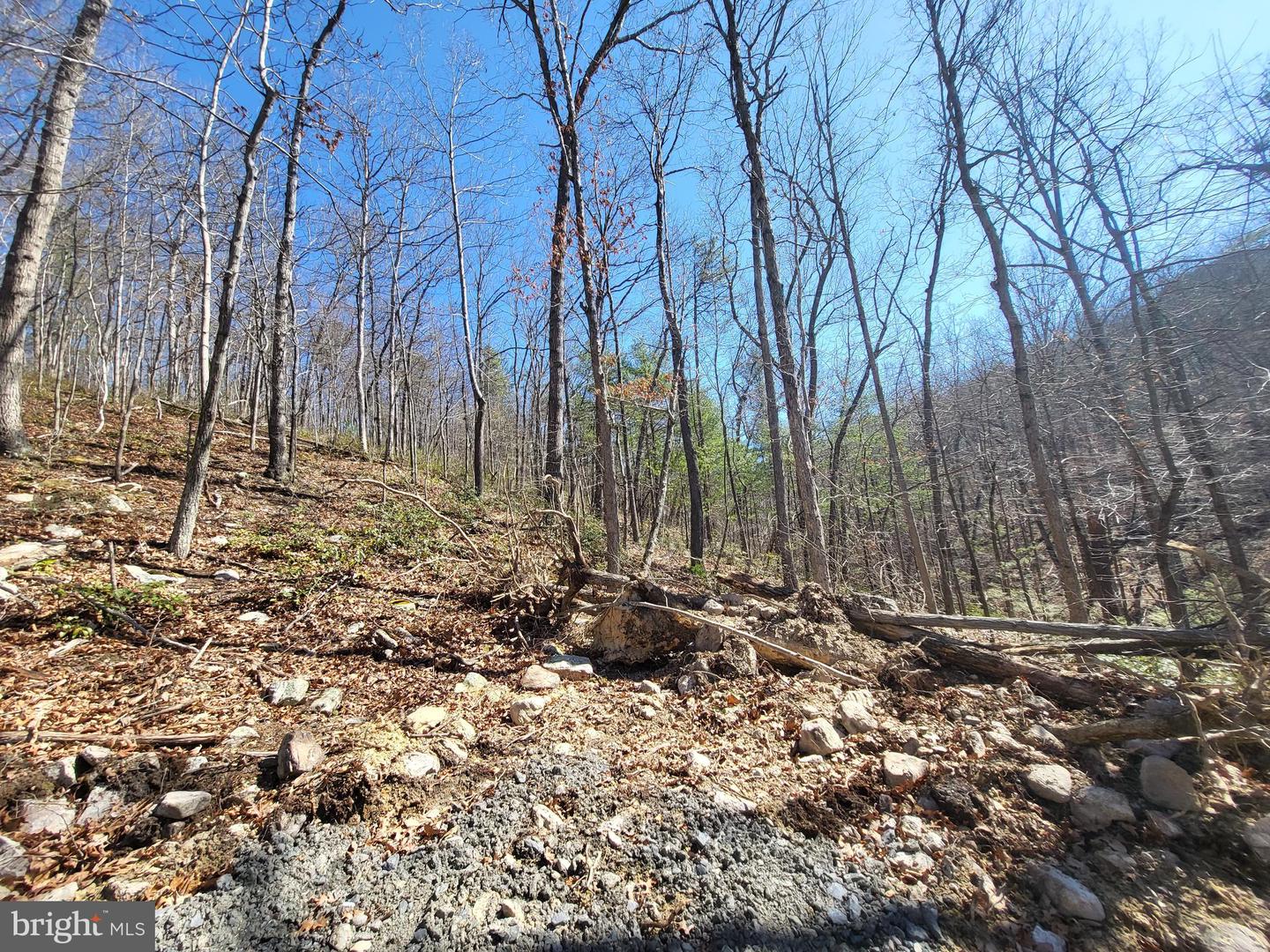 EDINBURG GAP, EDINBURG, Virginia 22824, ,Land,For sale,EDINBURG GAP,VASH2012024 MLS # VASH2012024