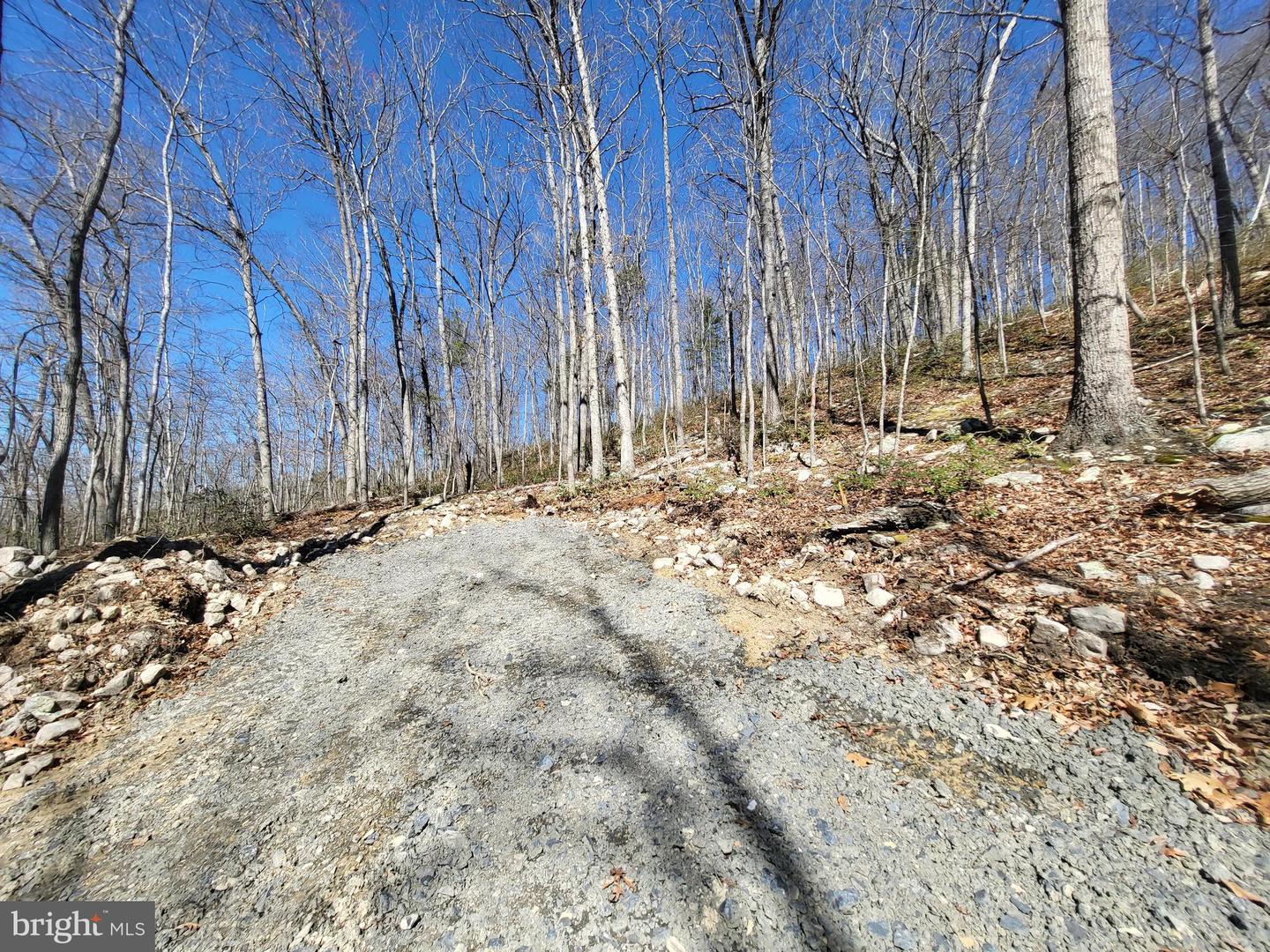EDINBURG GAP, EDINBURG, Virginia 22824, ,Land,For sale,EDINBURG GAP,VASH2012024 MLS # VASH2012024