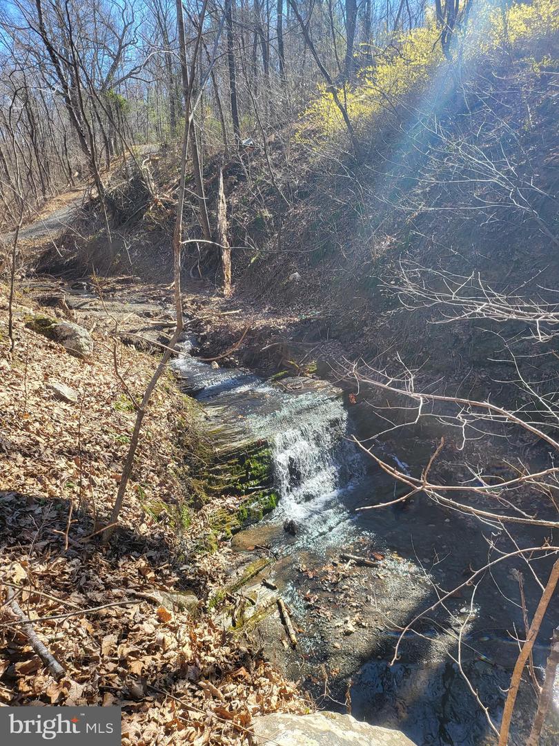 EDINBURG GAP, EDINBURG, Virginia 22824, ,Land,For sale,EDINBURG GAP,VASH2012024 MLS # VASH2012024
