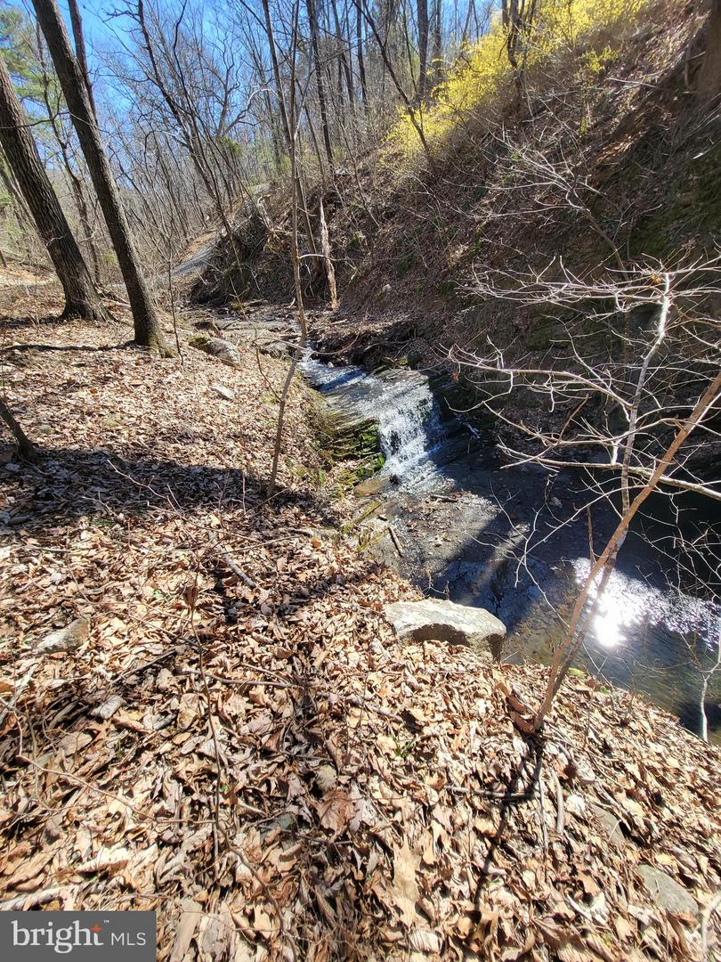 EDINBURG GAP, EDINBURG, Virginia 22824, ,Land,For sale,EDINBURG GAP,VASH2012024 MLS # VASH2012024