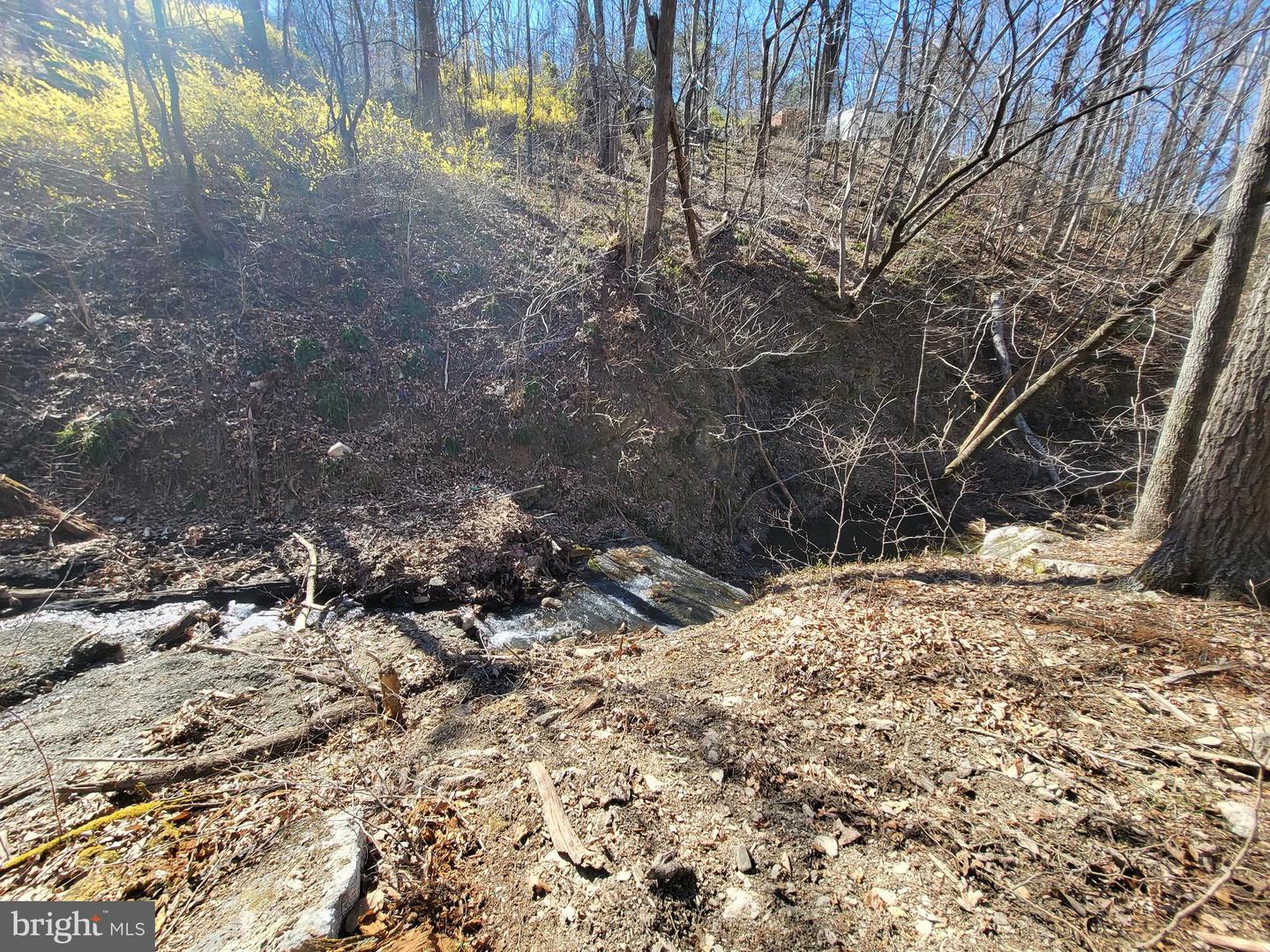EDINBURG GAP, EDINBURG, Virginia 22824, ,Land,For sale,EDINBURG GAP,VASH2012024 MLS # VASH2012024