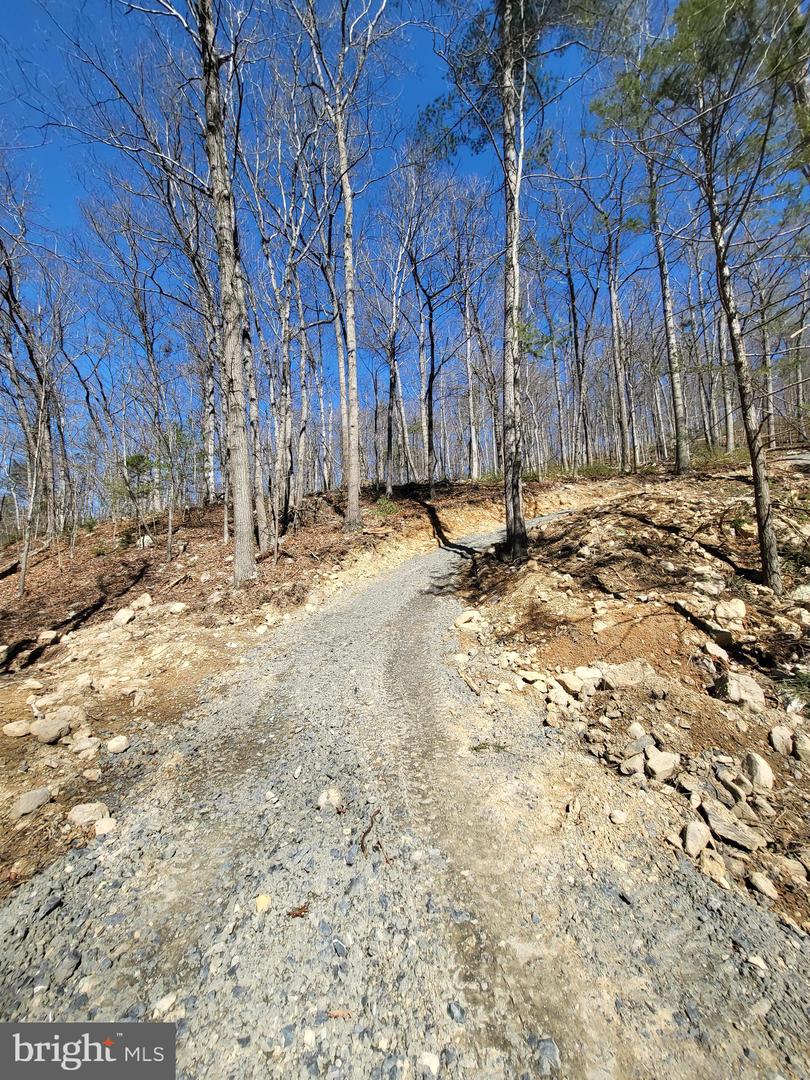 EDINBURG GAP, EDINBURG, Virginia 22824, ,Land,For sale,EDINBURG GAP,VASH2012024 MLS # VASH2012024
