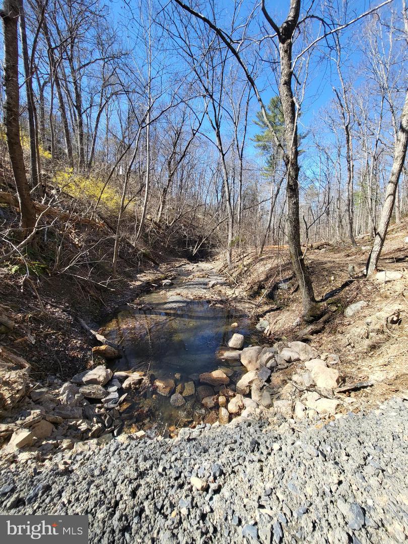 EDINBURG GAP, EDINBURG, Virginia 22824, ,Land,For sale,EDINBURG GAP,VASH2012024 MLS # VASH2012024