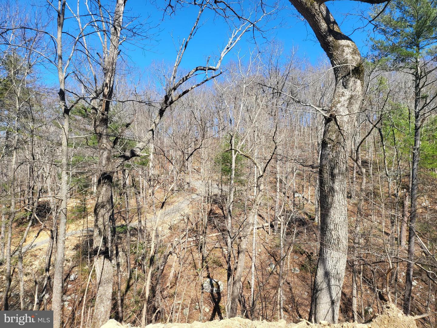 EDINBURG GAP, EDINBURG, Virginia 22824, ,Land,For sale,EDINBURG GAP,VASH2012024 MLS # VASH2012024