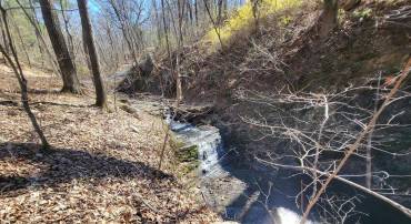 EDINBURG GAP, EDINBURG, Virginia 22824, ,Land,For sale,EDINBURG GAP,VASH2012024 MLS # VASH2012024
