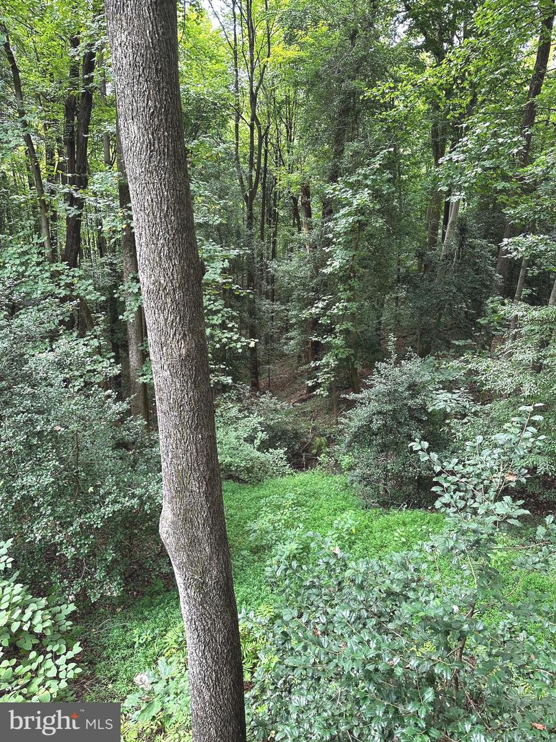 100 AQUIA CREEK RD, STAFFORD, Virginia 22554, 3 Bedrooms Bedrooms, ,3 BathroomsBathrooms,Residential,For sale,100 AQUIA CREEK RD,VAST2038056 MLS # VAST2038056
