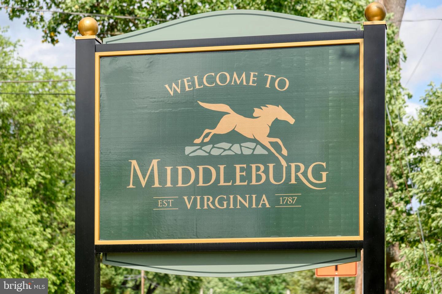 23358 DOVER RD, MIDDLEBURG, Virginia 20117, 4 Bedrooms Bedrooms, ,3 BathroomsBathrooms,Residential,For sale,23358 DOVER RD,VALO2100252 MLS # VALO2100252
