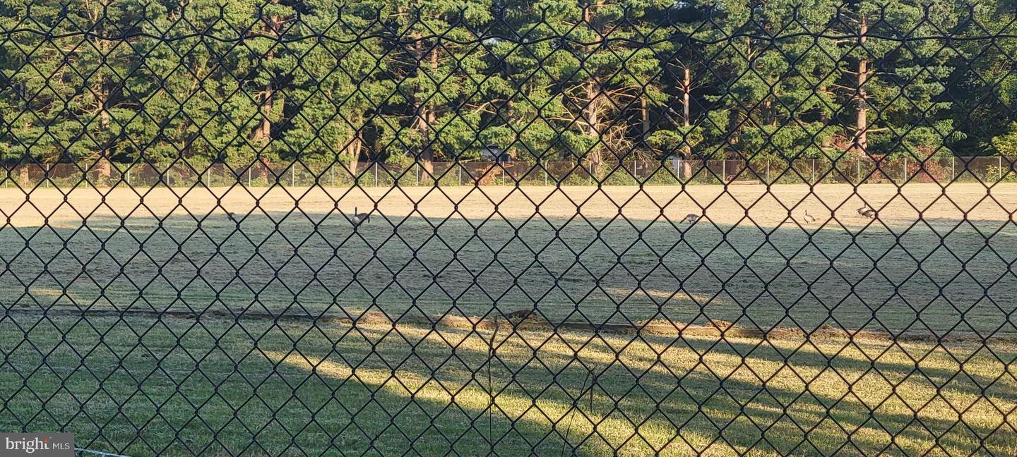 11607 RIVER MEADOWS WAY, FREDERICKSBURG, Virginia 22408, 3 Bedrooms Bedrooms, 12 Rooms Rooms,2 BathroomsBathrooms,Residential,For sale,11607 RIVER MEADOWS WAY,VASP2034690 MLS # VASP2034690 11607 RIVER MEADOWS WAY, FREDERICKSBURG, Virginia 22408, 3 Bedrooms Bedrooms, 12 Rooms Rooms,2 BathroomsBathrooms,Residential,For sale,11607 RIVER MEADOWS WAY,VASP2034690 MLS # VASP2034690