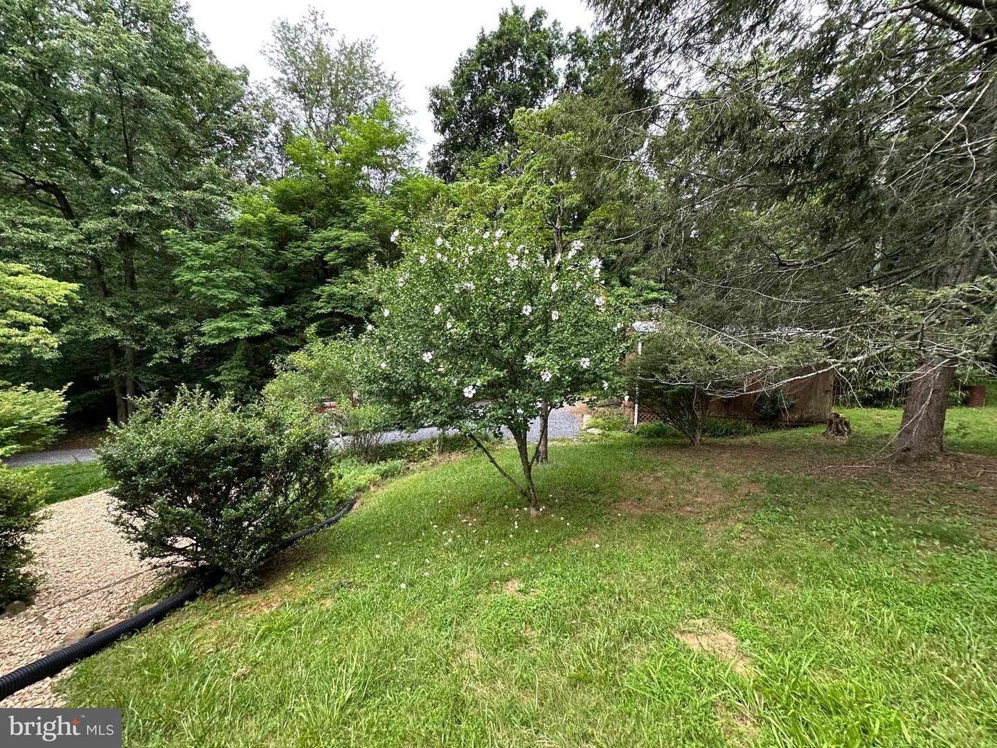 181 HAWKSBILL PINES RD, STANLEY, Virginia 22851, 2 Bedrooms Bedrooms, ,1 BathroomBathrooms,Residential,For sale,181 HAWKSBILL PINES RD,VAPA2005138 MLS # VAPA2005138