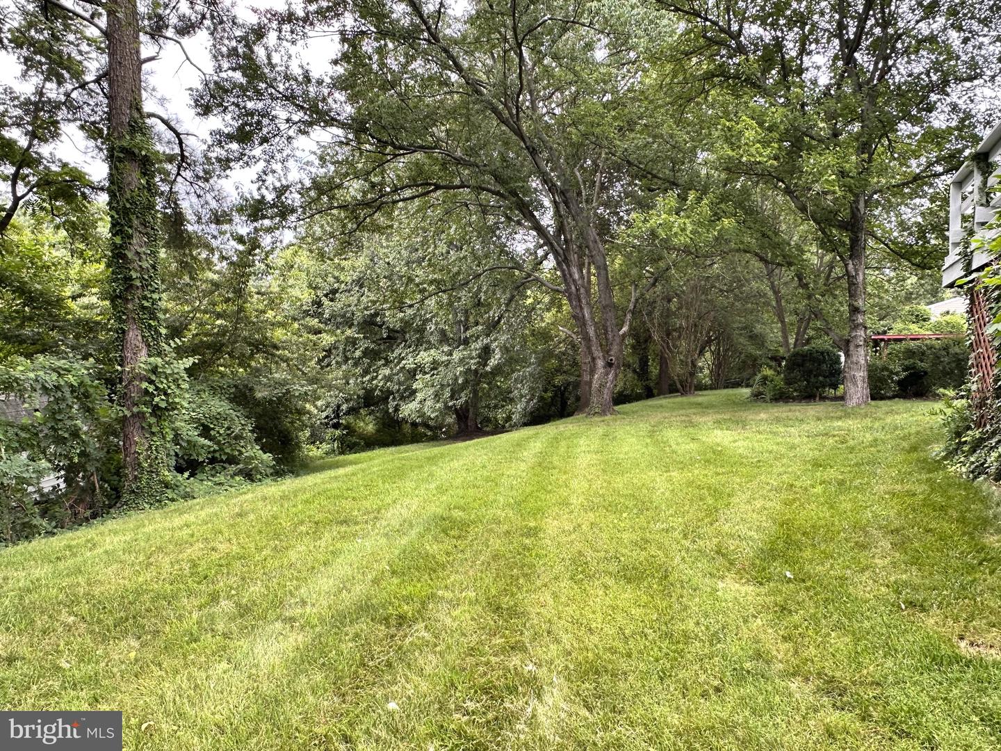4103 IVANHOE LN, ALEXANDRIA, Virginia 22310, 5 Bedrooms Bedrooms, ,2 BathroomsBathrooms,Residential,For sale,4103 IVANHOE LN,VAFX2256058 MLS # VAFX2256058