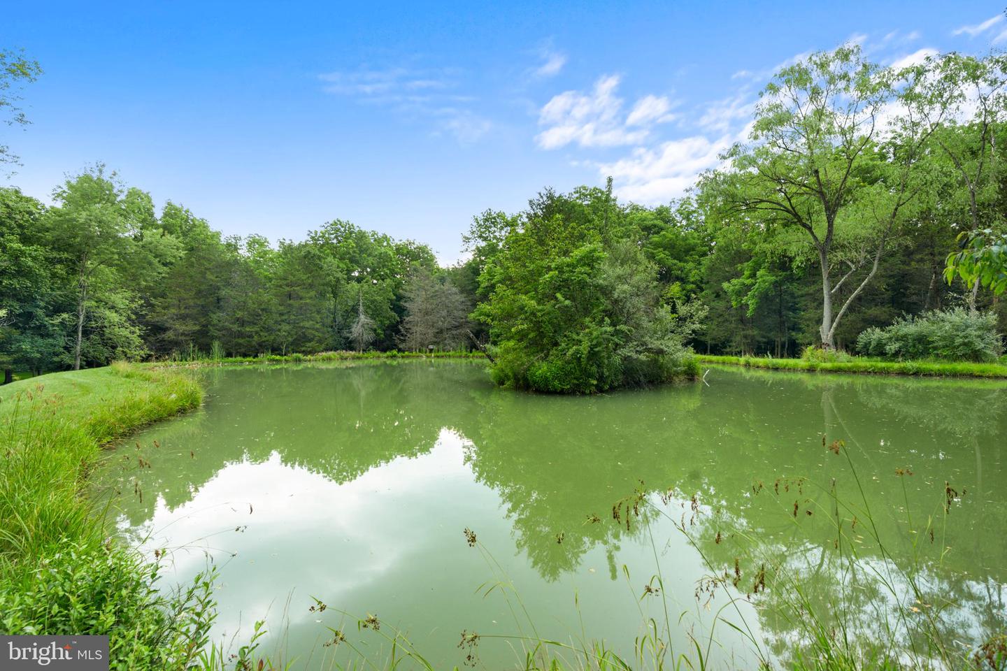1147 MILL RD, WOODSTOCK, Virginia 22664, 3 Bedrooms Bedrooms, ,3 BathroomsBathrooms,Residential,For sale,1147 MILL RD,VASH2012016 MLS # VASH2012016