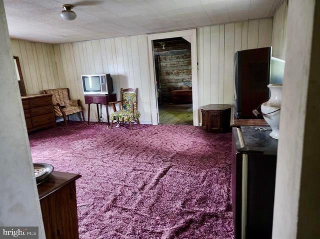 5255 WILDERNESS RD, DUBLIN, Virginia 24084, 4 Bedrooms Bedrooms, ,2 BathroomsBathrooms,Residential,For sale,5255 WILDERNESS RD,VAPU2000038 MLS # VAPU2000038