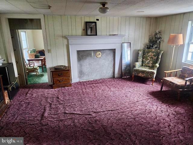 5255 WILDERNESS RD, DUBLIN, Virginia 24084, 4 Bedrooms Bedrooms, ,2 BathroomsBathrooms,Residential,For sale,5255 WILDERNESS RD,VAPU2000038 MLS # VAPU2000038
