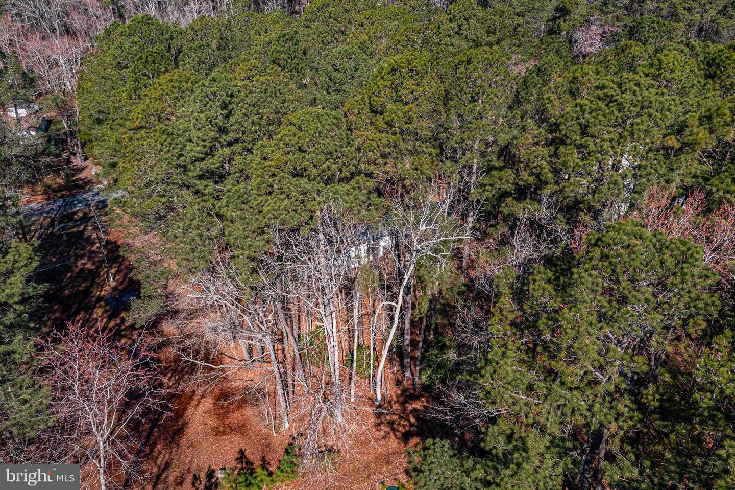136 CORAL DRIVE, HEATHSVILLE, Virginia 22473, 3 Bedrooms Bedrooms, ,2 BathroomsBathrooms,Residential,For sale,136 CORAL DRIVE,VANV2001686 MLS # VANV2001686