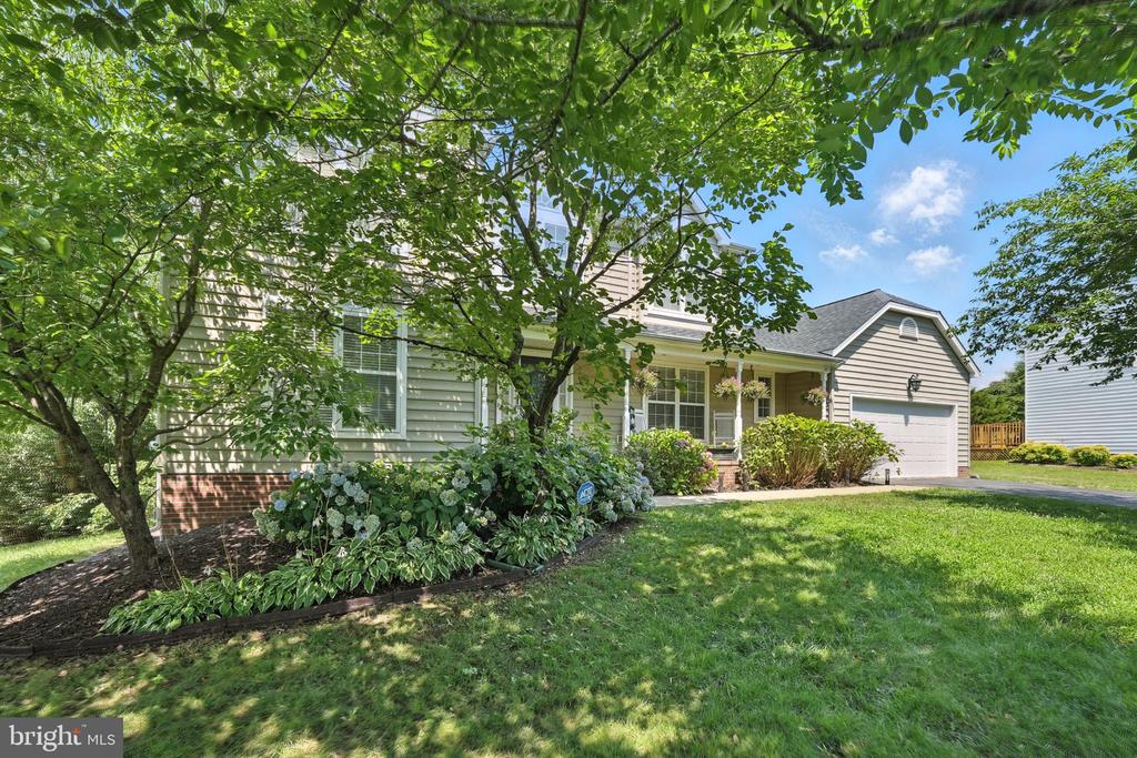 6205 PATRICIAN CT, FREDERICKSBURG, Virginia 22407, 4 Bedrooms Bedrooms, ,3 BathroomsBathrooms,Residential,6205 PATRICIAN CT,VASP2033606 MLS # VASP2033606