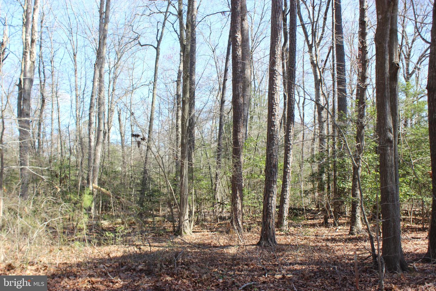 7 BRIGANTINE BLVD, GREENBACKVILLE, Virginia 23356, ,Land,For sale,7 BRIGANTINE BLVD,VAAC2000994 MLS # VAAC2000994