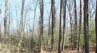 7 BRIGANTINE BLVD, GREENBACKVILLE, Virginia 23356, ,Land,For sale,7 BRIGANTINE BLVD,VAAC2000994 MLS # VAAC2000994