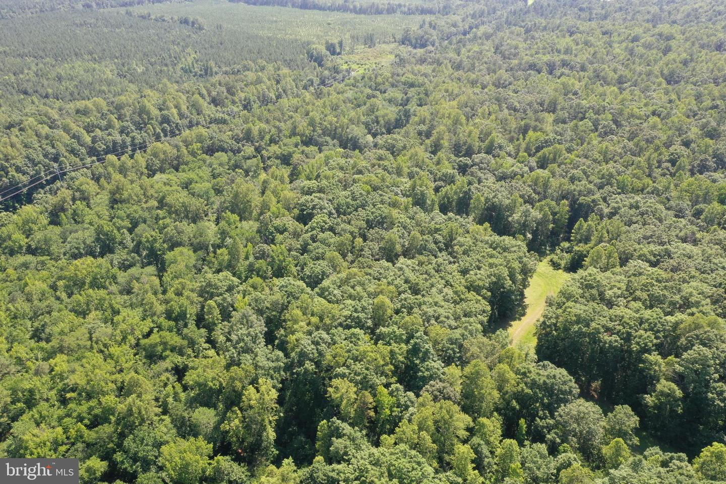 LOT 1 - WARDS FOREST AVE, BEAVERDAM, Virginia 23015, ,Land,For sale,LOT 1 - WARDS FOREST AVE,VAHA2001040 MLS # VAHA2001040