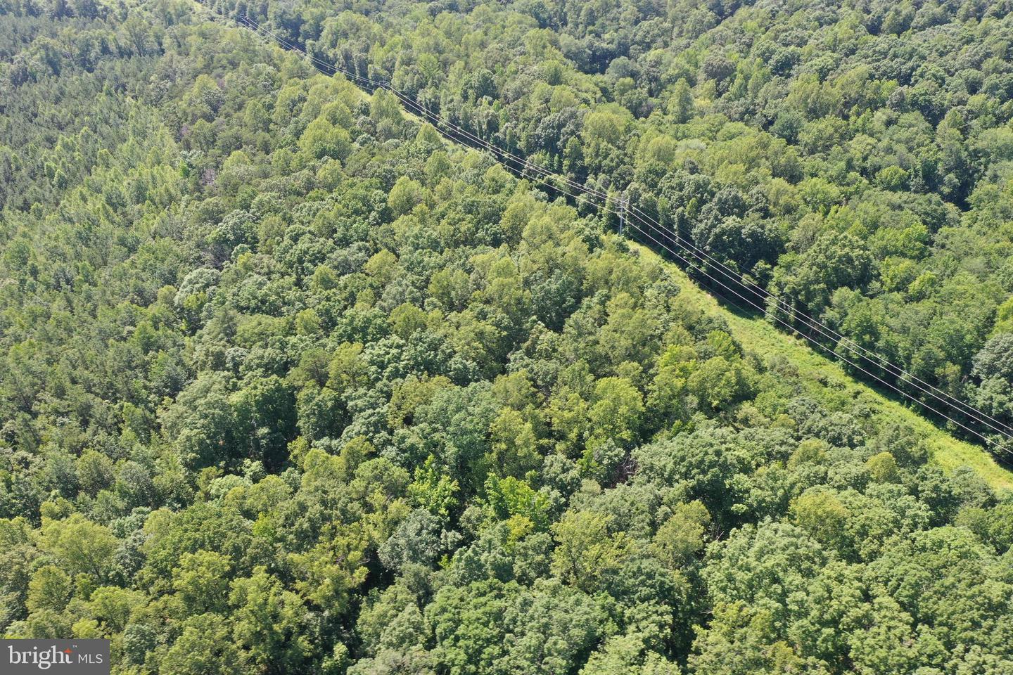 LOT 1 - WARDS FOREST AVE, BEAVERDAM, Virginia 23015, ,Land,For sale,LOT 1 - WARDS FOREST AVE,VAHA2001040 MLS # VAHA2001040