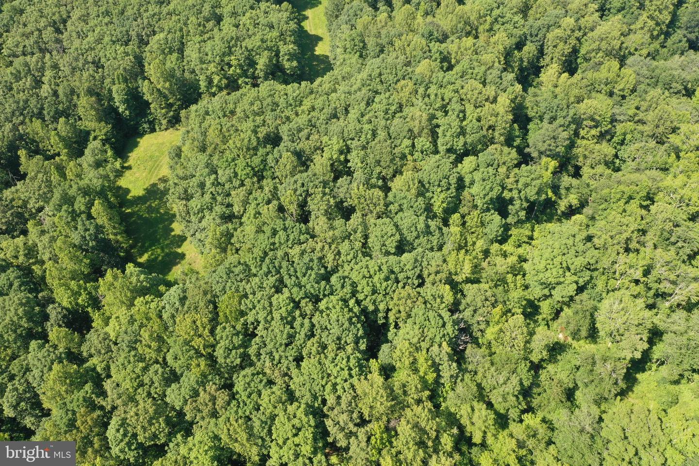 LOT 1 - WARDS FOREST AVE, BEAVERDAM, Virginia 23015, ,Land,For sale,LOT 1 - WARDS FOREST AVE,VAHA2001040 MLS # VAHA2001040
