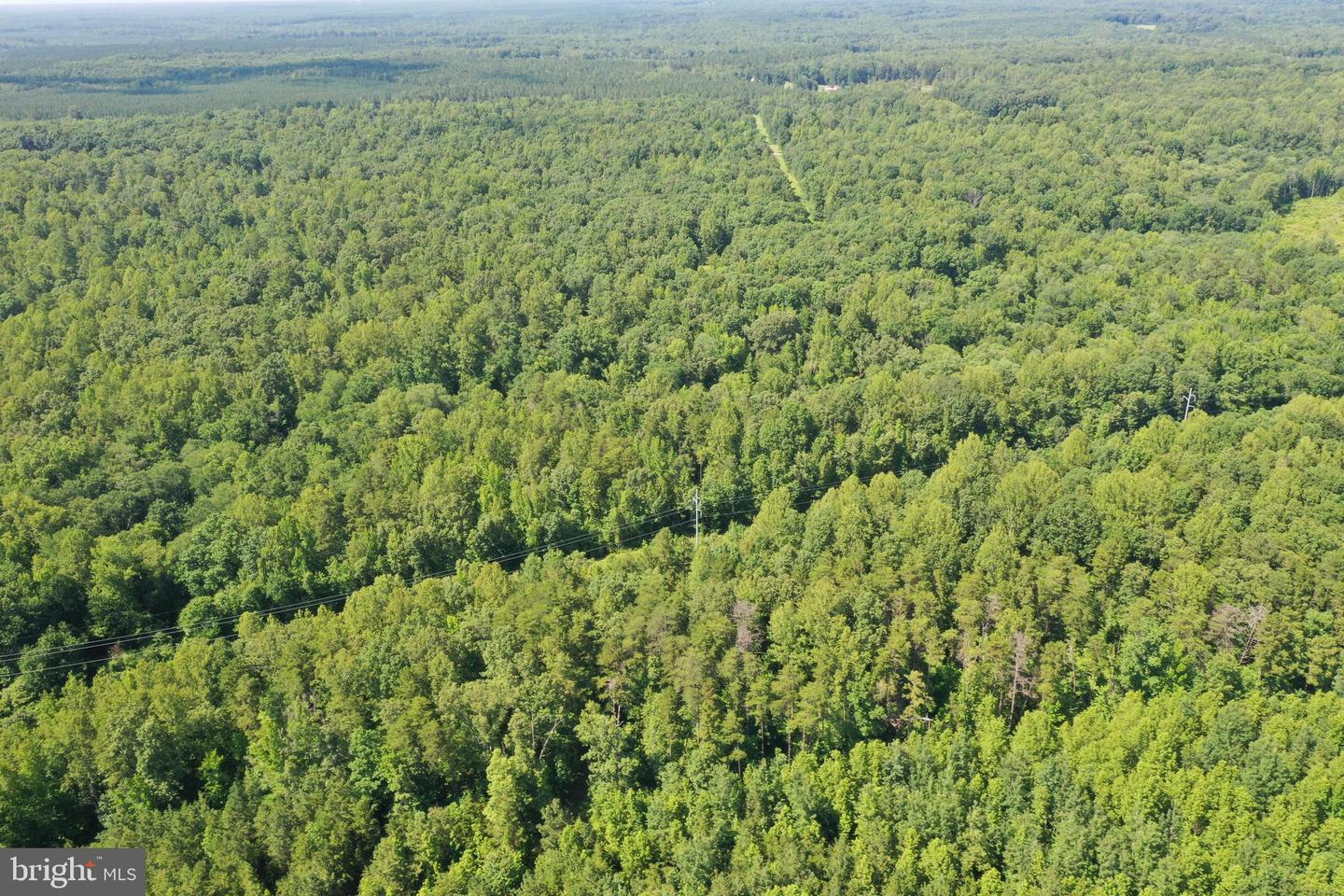 LOT 1 - WARDS FOREST AVE, BEAVERDAM, Virginia 23015, ,Land,For sale,LOT 1 - WARDS FOREST AVE,VAHA2001040 MLS # VAHA2001040