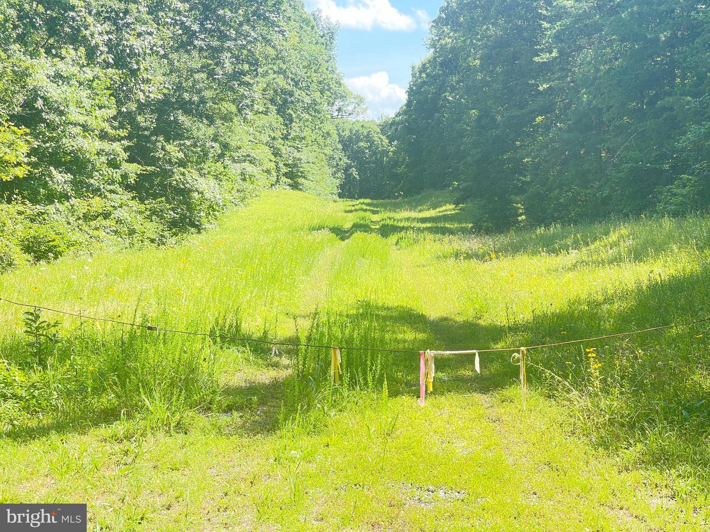 LOT 1 - WARDS FOREST AVE, BEAVERDAM, Virginia 23015, ,Land,For sale,LOT 1 - WARDS FOREST AVE,VAHA2001040 MLS # VAHA2001040