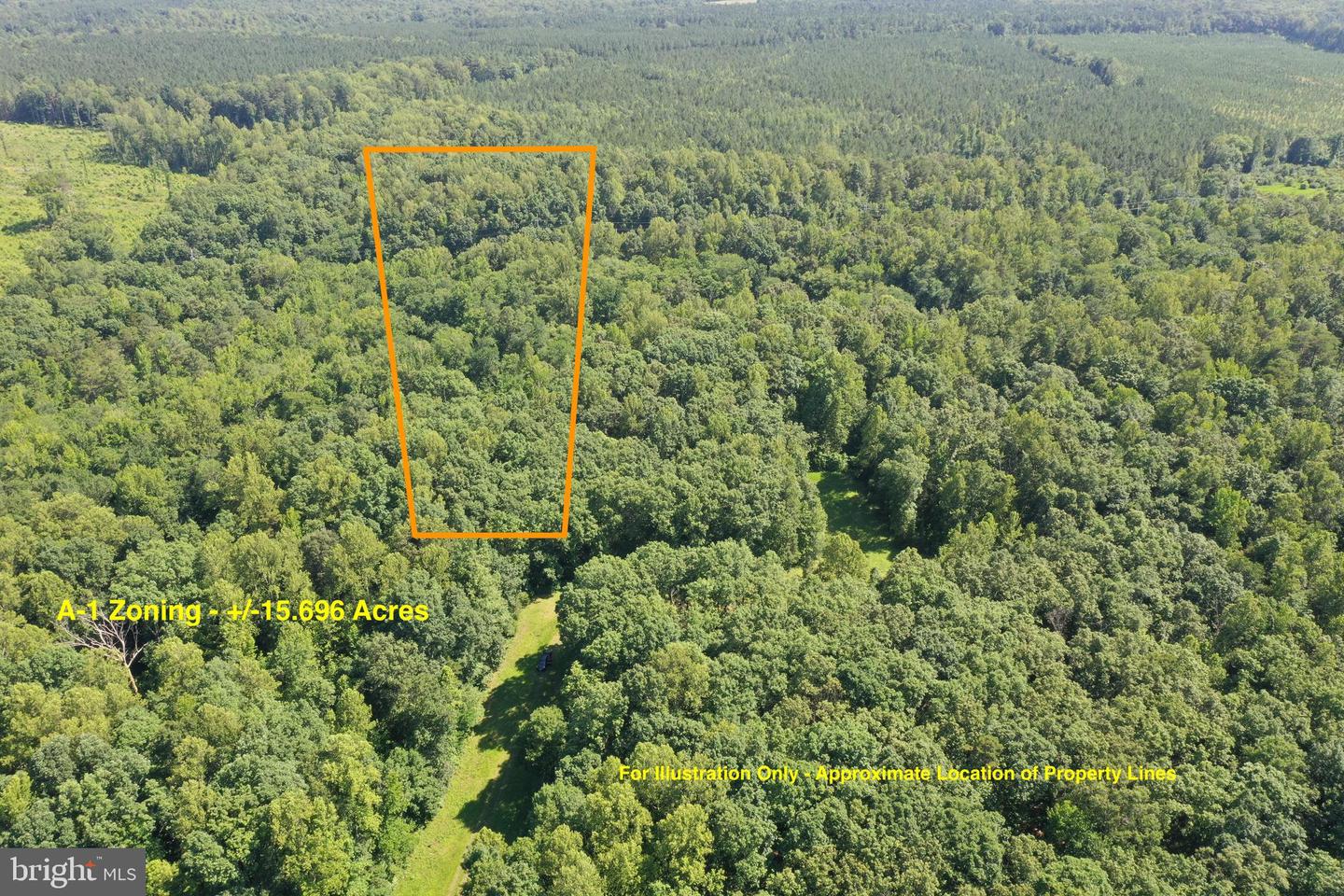 LOT 1 - WARDS FOREST AVE, BEAVERDAM, Virginia 23015, ,Land,For sale,LOT 1 - WARDS FOREST AVE,VAHA2001040 MLS # VAHA2001040