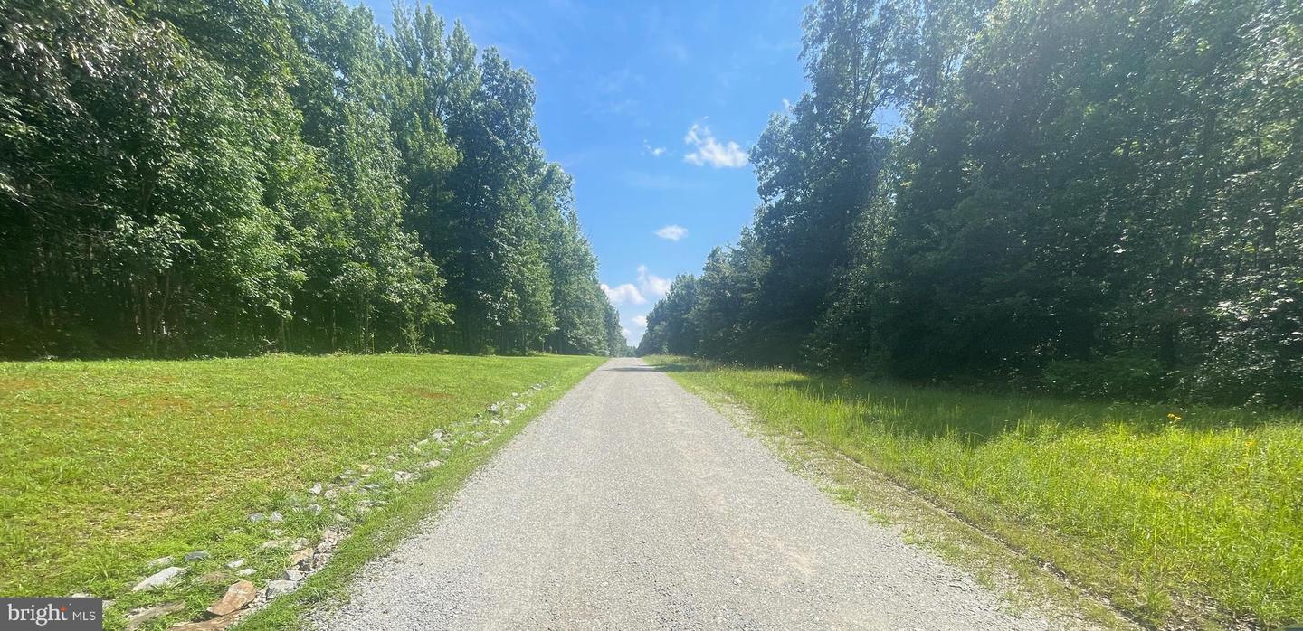 LOT 1 - WARDS FOREST AVE, BEAVERDAM, Virginia 23015, ,Land,For sale,LOT 1 - WARDS FOREST AVE,VAHA2001040 MLS # VAHA2001040