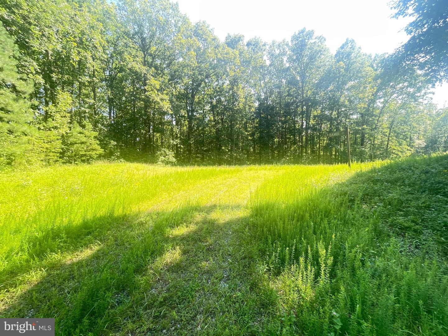 LOT 1 - WARDS FOREST AVE, BEAVERDAM, Virginia 23015, ,Land,For sale,LOT 1 - WARDS FOREST AVE,VAHA2001040 MLS # VAHA2001040