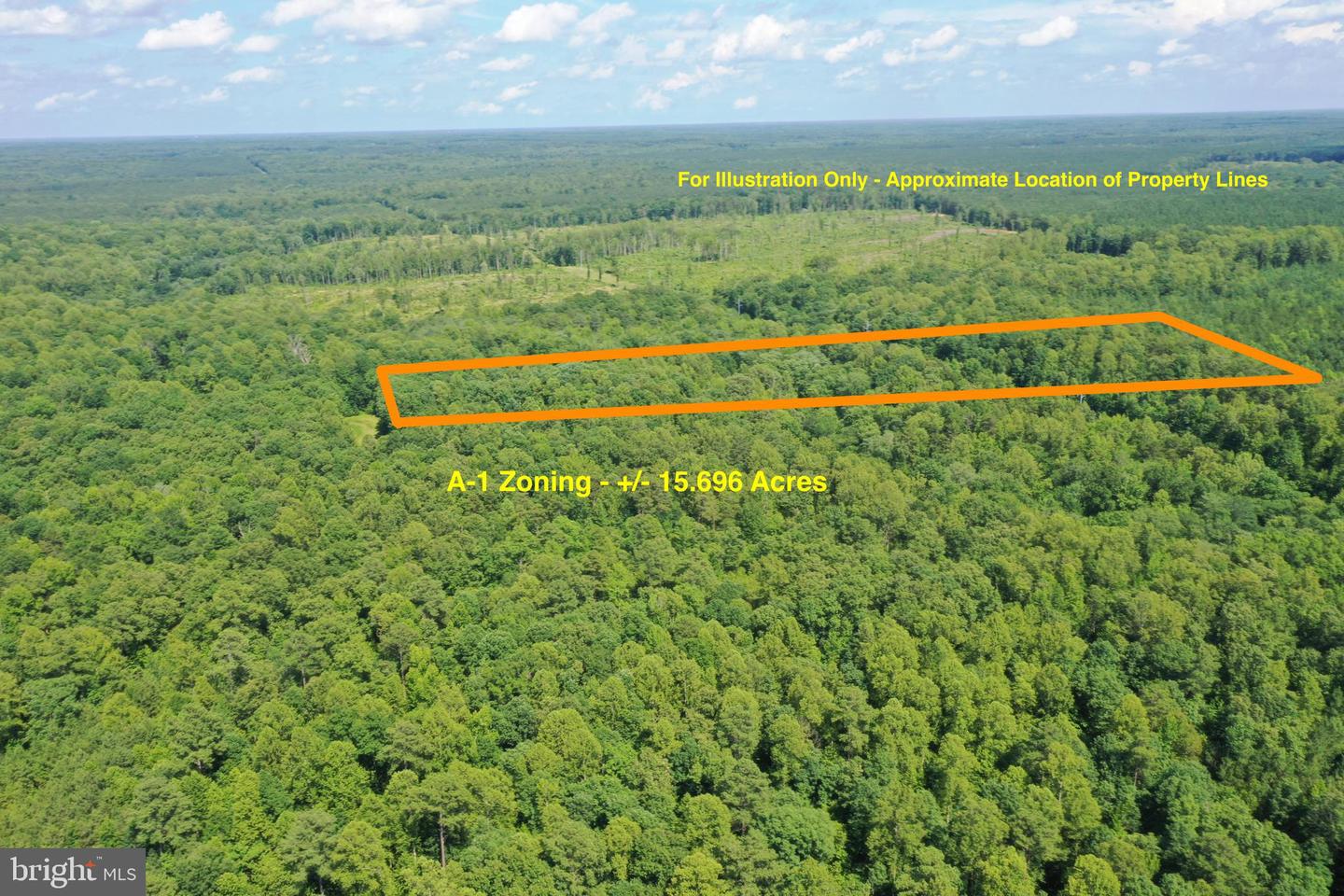 LOT 1 - WARDS FOREST AVE, BEAVERDAM, Virginia 23015, ,Land,For sale,LOT 1 - WARDS FOREST AVE,VAHA2001040 MLS # VAHA2001040