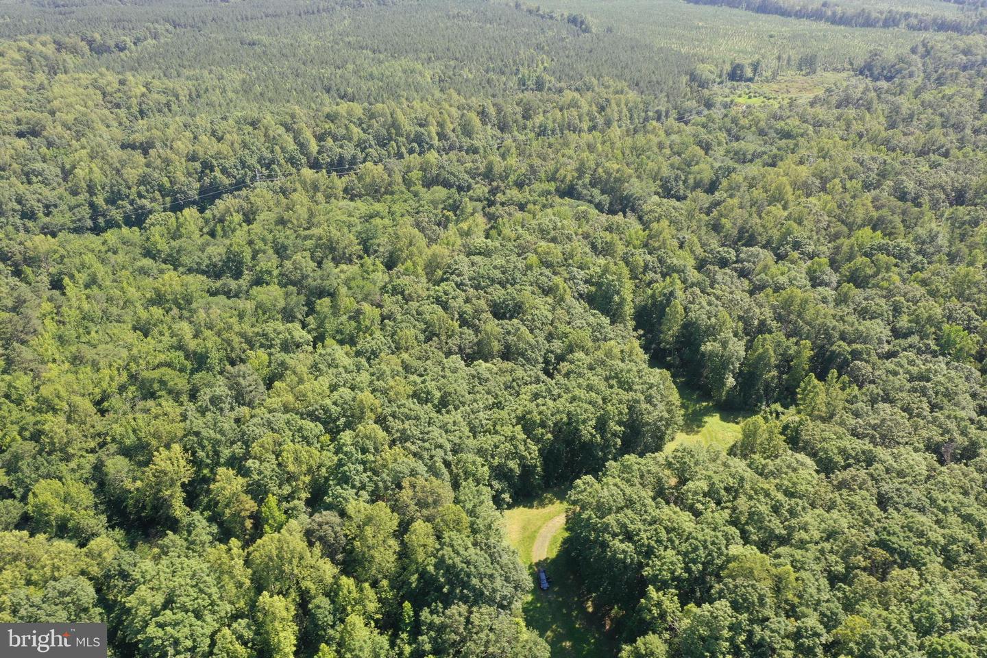 LOT 1 - WARDS FOREST AVE, BEAVERDAM, Virginia 23015, ,Land,For sale,LOT 1 - WARDS FOREST AVE,VAHA2001040 MLS # VAHA2001040