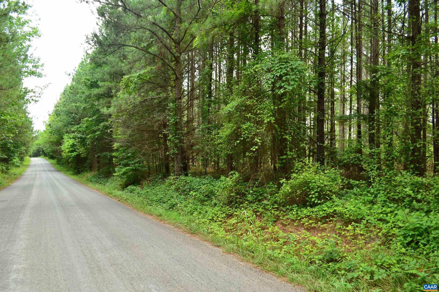 LOT 3 TBA MELITA RD #3, ARVONIA, Virginia 23004, ,Land,For sale,LOT 3 TBA MELITA RD #3,666867 MLS # 666867