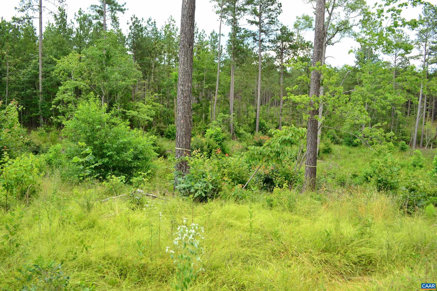LOT 3 TBA MELITA RD #3, ARVONIA, Virginia 23004, ,Land,For sale,LOT 3 TBA MELITA RD #3,666867 MLS # 666867
