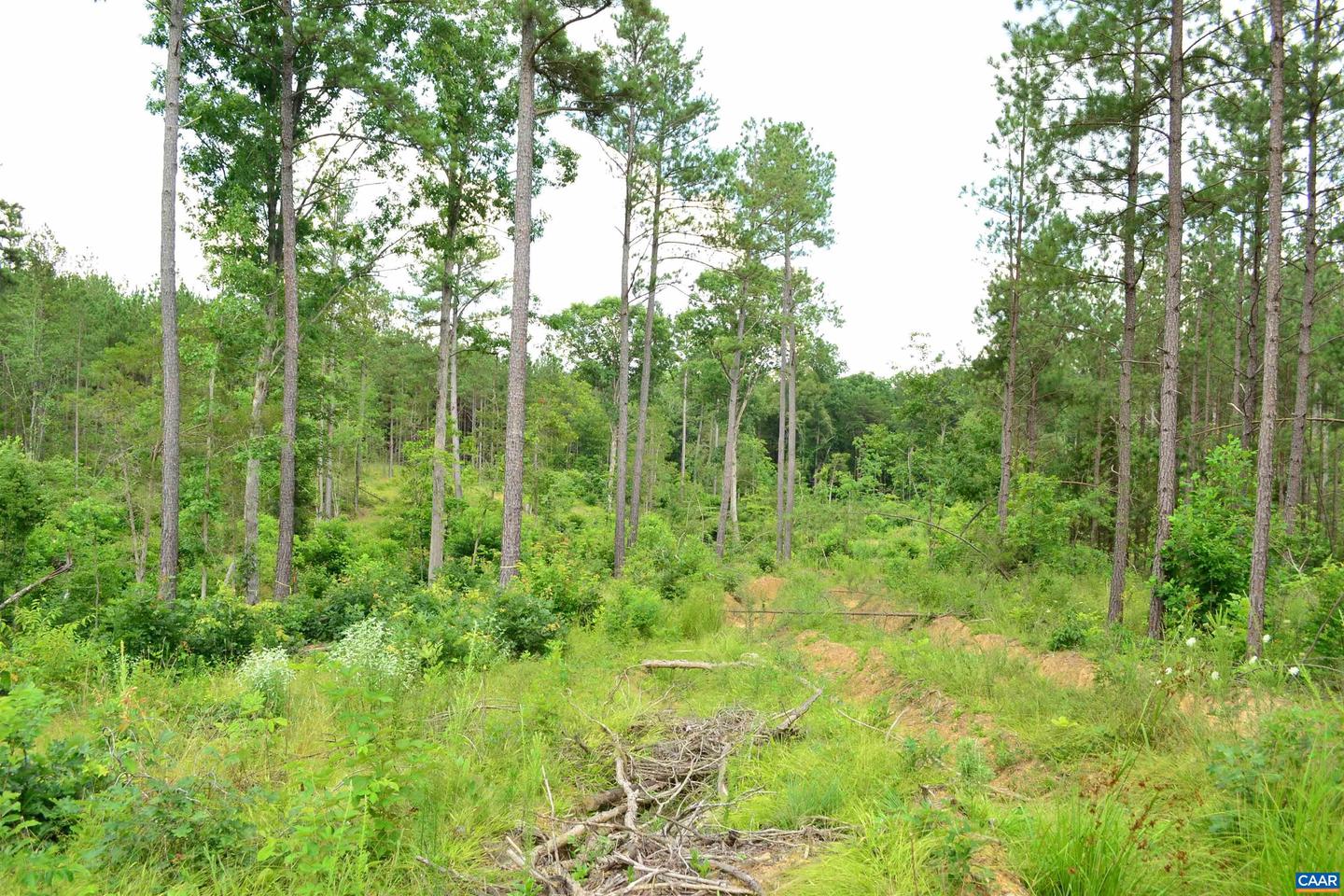 LOT 3 TBA MELITA RD #3, ARVONIA, Virginia 23004, ,Land,For sale,LOT 3 TBA MELITA RD #3,666867 MLS # 666867