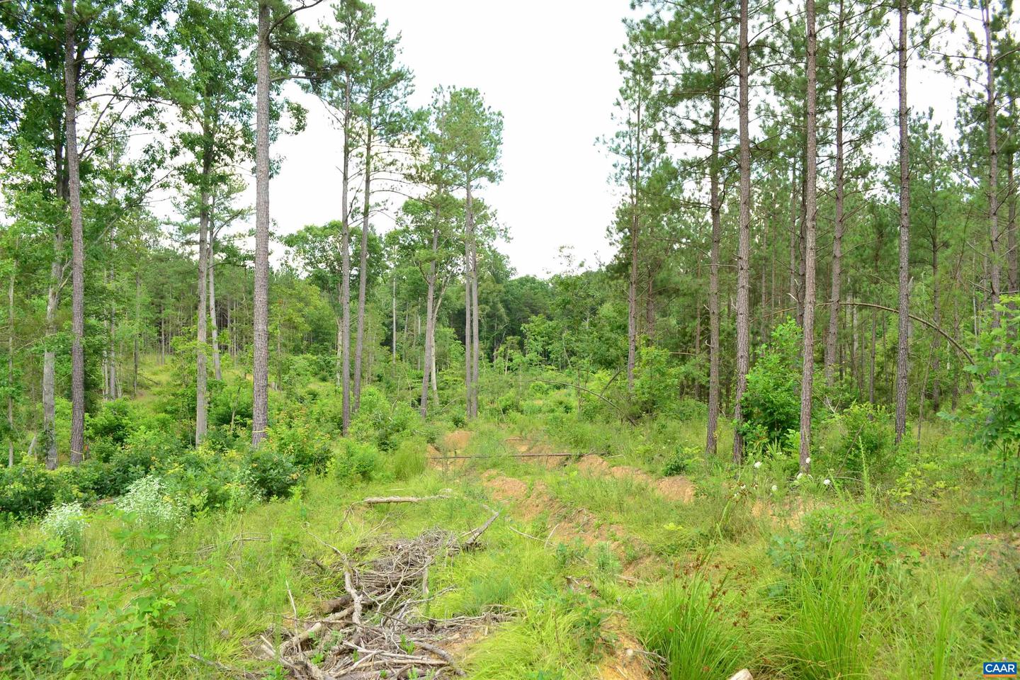 LOT 3 TBA MELITA RD #3, ARVONIA, Virginia 23004, ,Land,For sale,LOT 3 TBA MELITA RD #3,666867 MLS # 666867