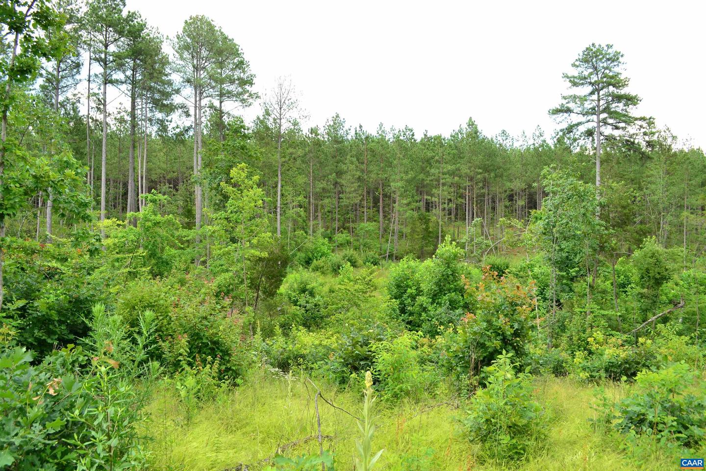 LOT 3 TBA MELITA RD #3, ARVONIA, Virginia 23004, ,Land,For sale,LOT 3 TBA MELITA RD #3,666867 MLS # 666867