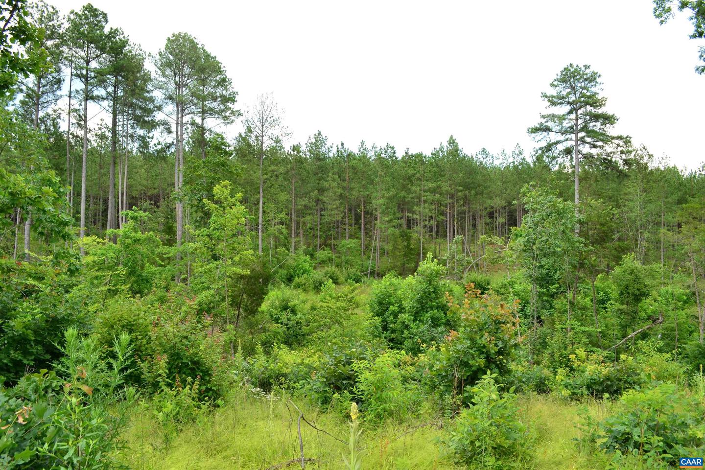 LOT 3 TBA MELITA RD #3, ARVONIA, Virginia 23004, ,Land,For sale,LOT 3 TBA MELITA RD #3,666867 MLS # 666867