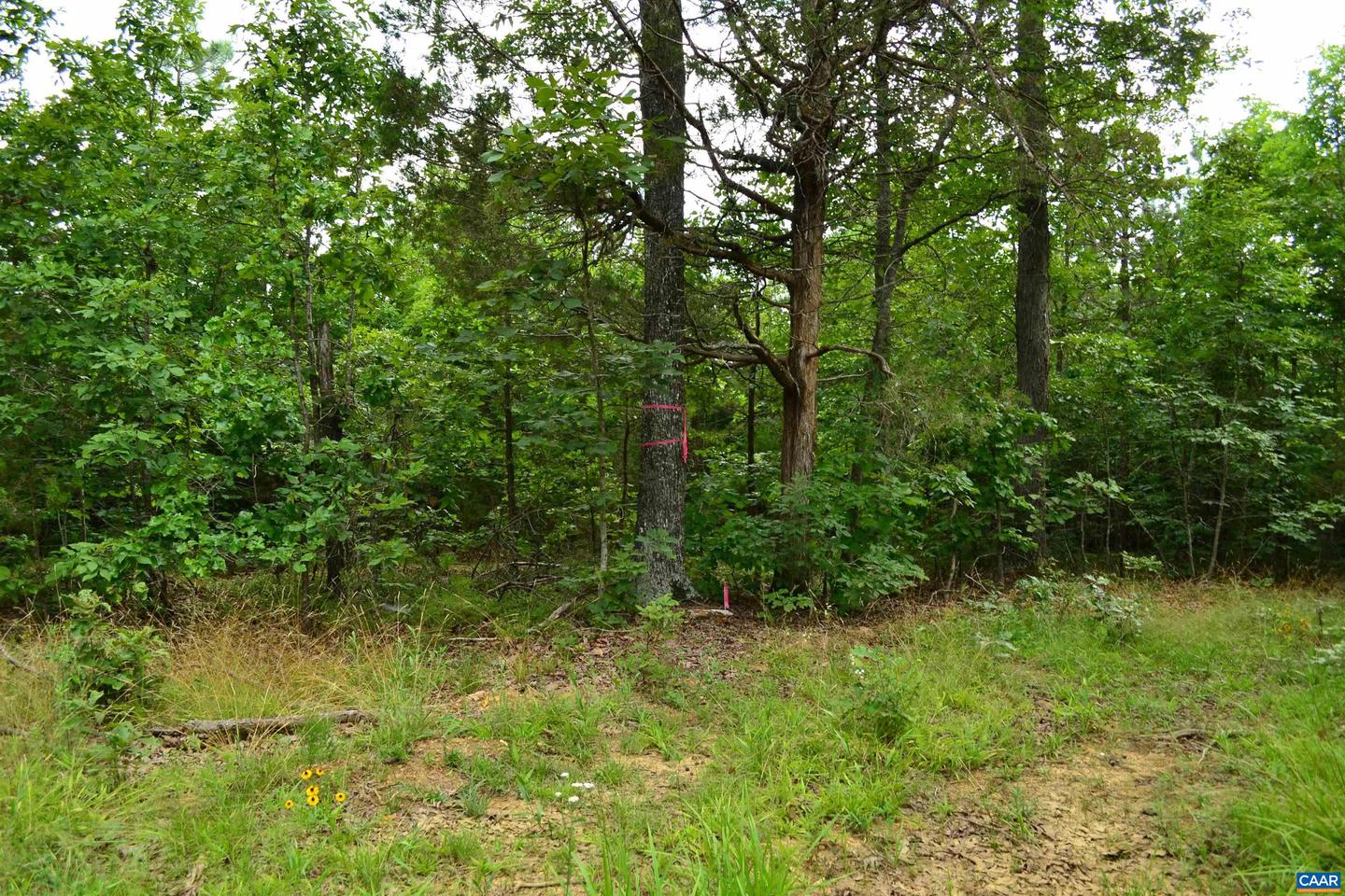LOT 3 TBA MELITA RD #3, ARVONIA, Virginia 23004, ,Land,For sale,LOT 3 TBA MELITA RD #3,666867 MLS # 666867