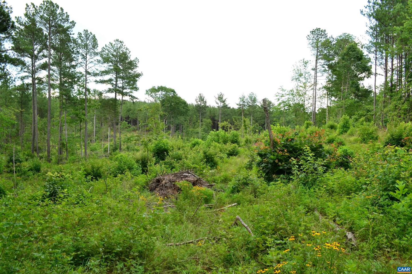 LOT 3 TBA MELITA RD #3, ARVONIA, Virginia 23004, ,Land,For sale,LOT 3 TBA MELITA RD #3,666867 MLS # 666867