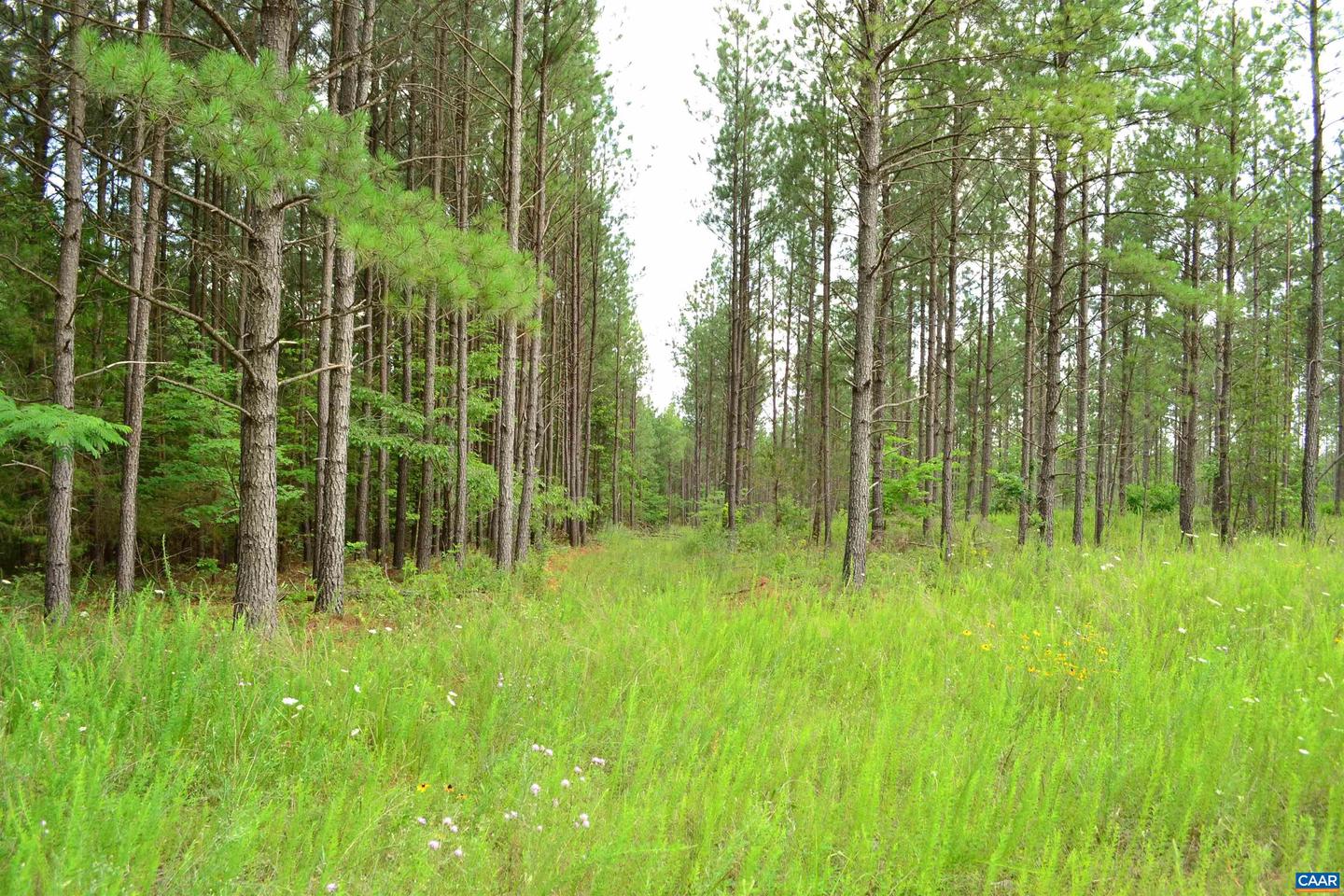 LOT 3 TBA MELITA RD #3, ARVONIA, Virginia 23004, ,Land,For sale,LOT 3 TBA MELITA RD #3,666867 MLS # 666867