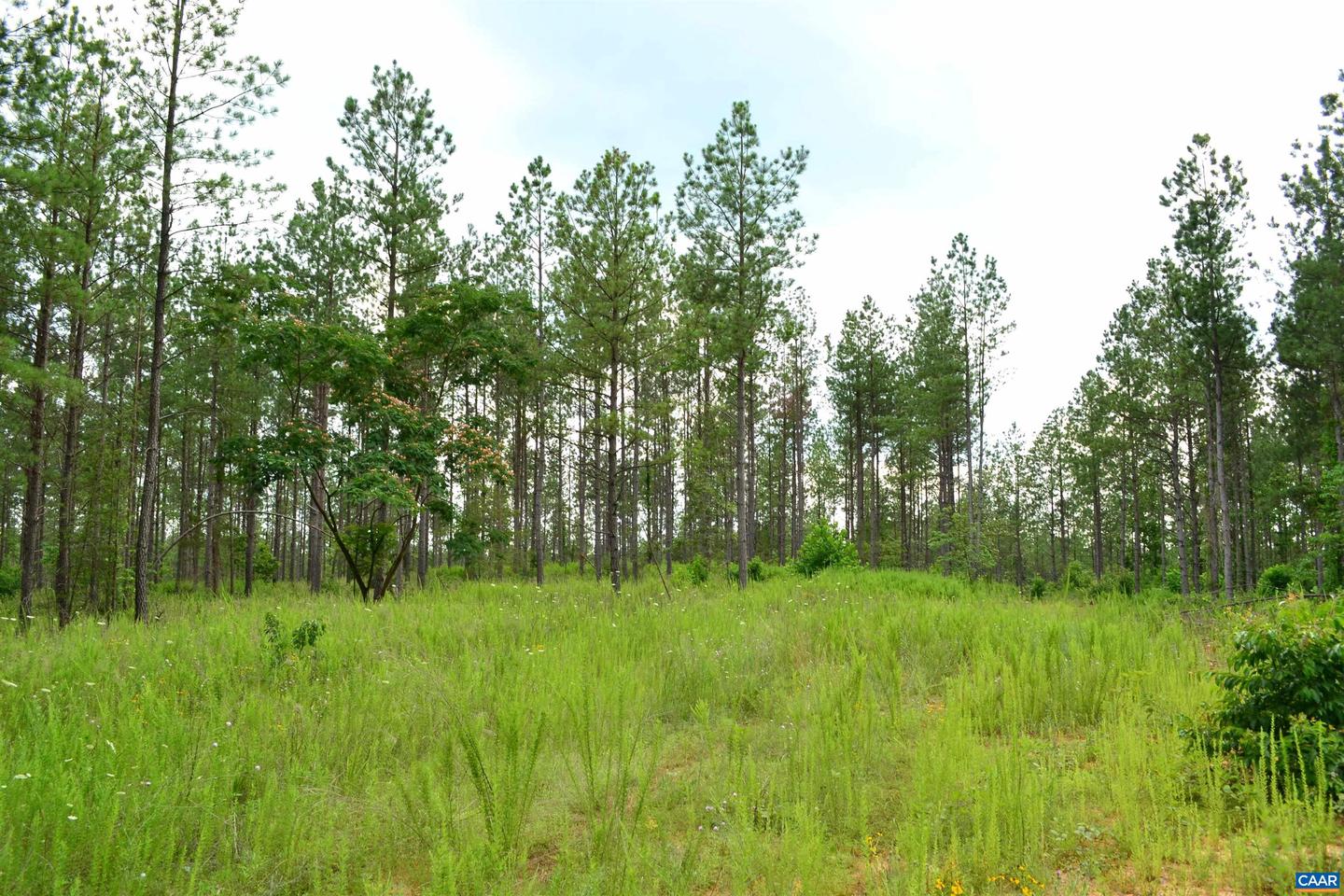 LOT 3 TBA MELITA RD #3, ARVONIA, Virginia 23004, ,Land,For sale,LOT 3 TBA MELITA RD #3,666867 MLS # 666867