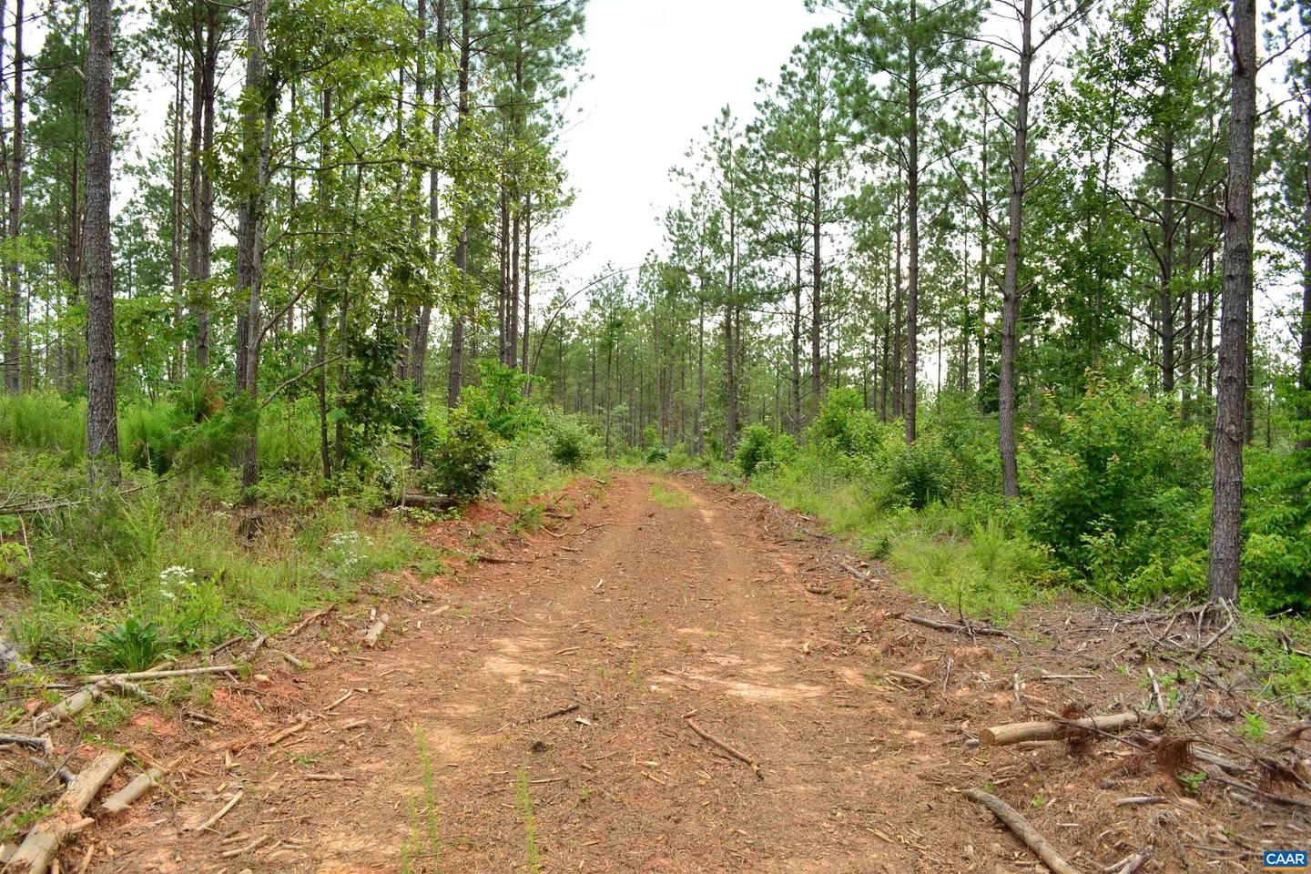 LOT 3 TBA MELITA RD #3, ARVONIA, Virginia 23004, ,Land,For sale,LOT 3 TBA MELITA RD #3,666867 MLS # 666867