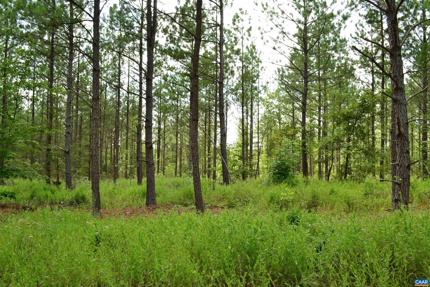 LOT 3 TBA MELITA RD #3, ARVONIA, Virginia 23004, ,Land,For sale,LOT 3 TBA MELITA RD #3,666867 MLS # 666867