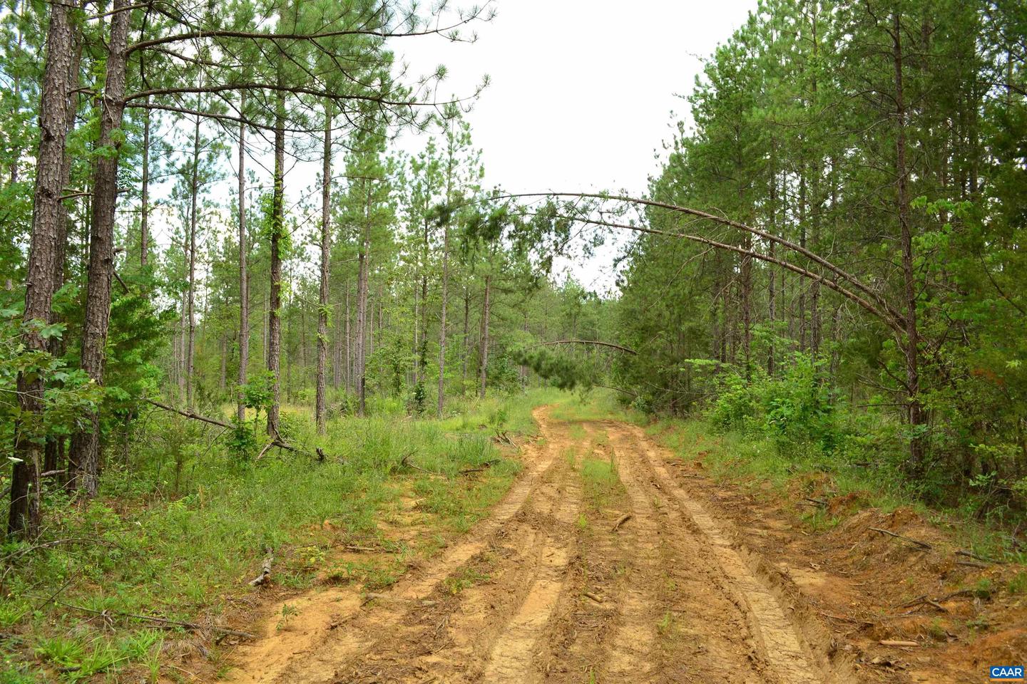LOT 3 TBA MELITA RD #3, ARVONIA, Virginia 23004, ,Land,For sale,LOT 3 TBA MELITA RD #3,666867 MLS # 666867