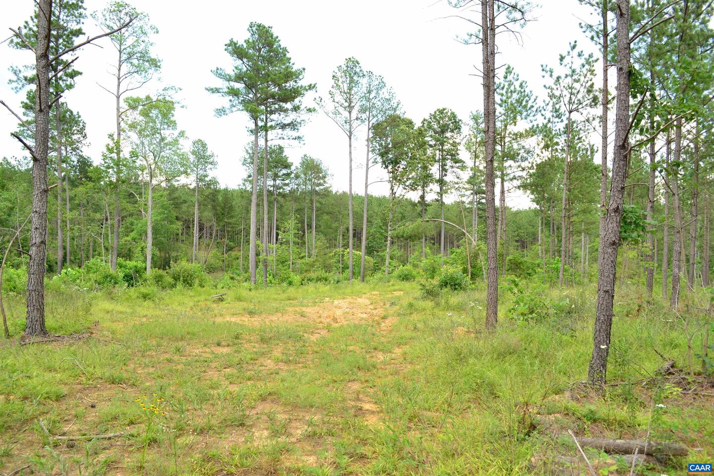 LOT 3 TBA MELITA RD #3, ARVONIA, Virginia 23004, ,Land,For sale,LOT 3 TBA MELITA RD #3,666867 MLS # 666867
