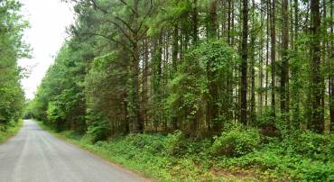 LOT 3 TBA MELITA RD #3, ARVONIA, Virginia 23004, ,Land,For sale,LOT 3 TBA MELITA RD #3,666867 MLS # 666867