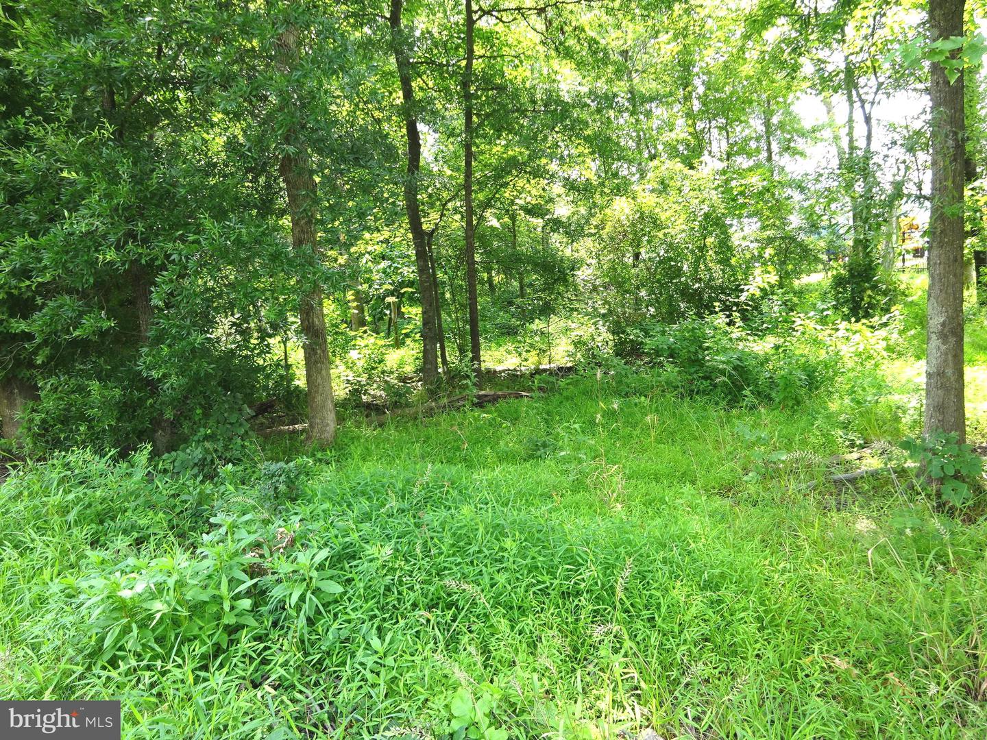 8306 BETHLEHEM RD, MANASSAS, Virginia 20109, ,Land,For sale,8306 BETHLEHEM RD,VAPW2099502 MLS # VAPW2099502