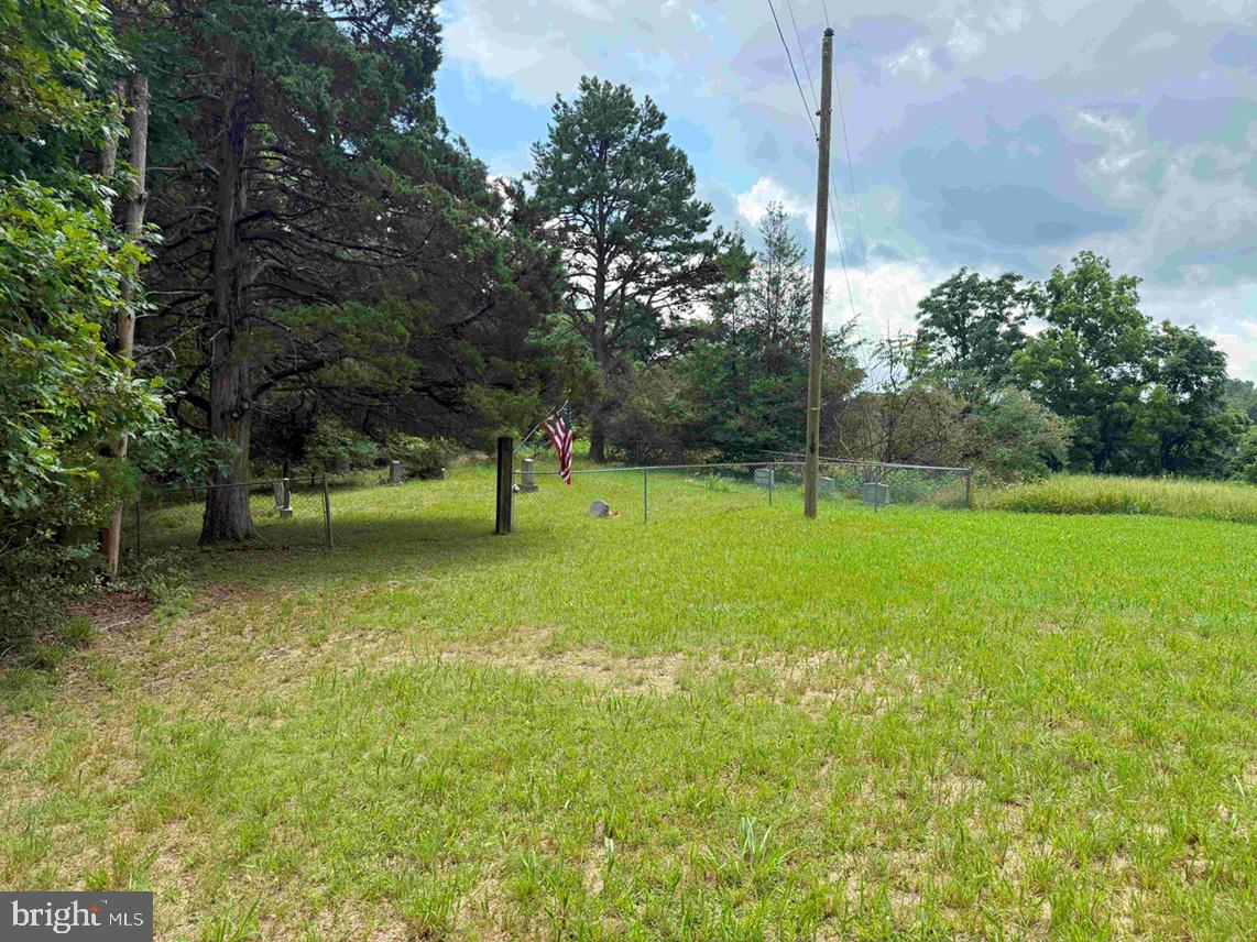 TURNPIKE (RT. 602) (TRACT: GIANNINI), SCOTTSVILLE, Virginia 24590, ,Farm,For sale,TURNPIKE (RT. 602) (TRACT: GIANNINI),VAAB2001048 MLS # VAAB2001048