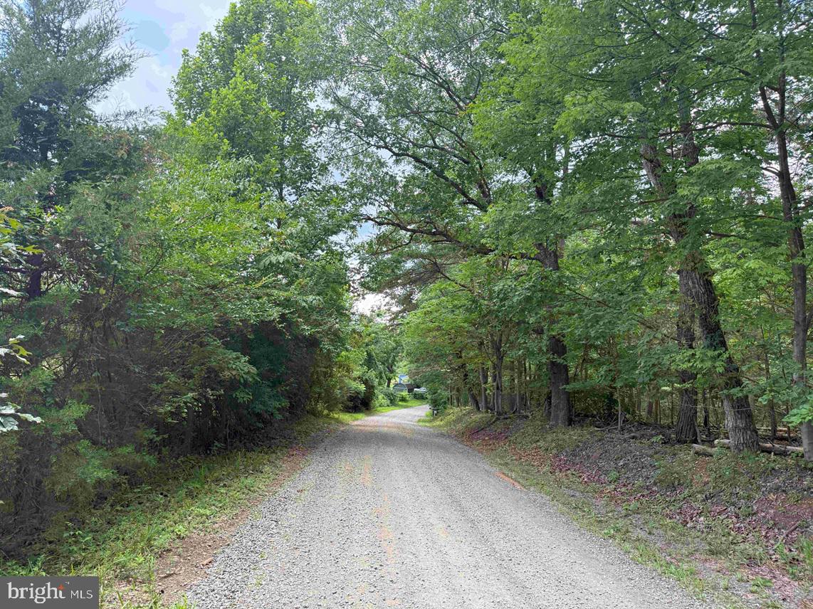 TURNPIKE (RT. 602) (TRACT: GIANNINI), SCOTTSVILLE, Virginia 24590, ,Farm,For sale,TURNPIKE (RT. 602) (TRACT: GIANNINI),VAAB2001048 MLS # VAAB2001048
