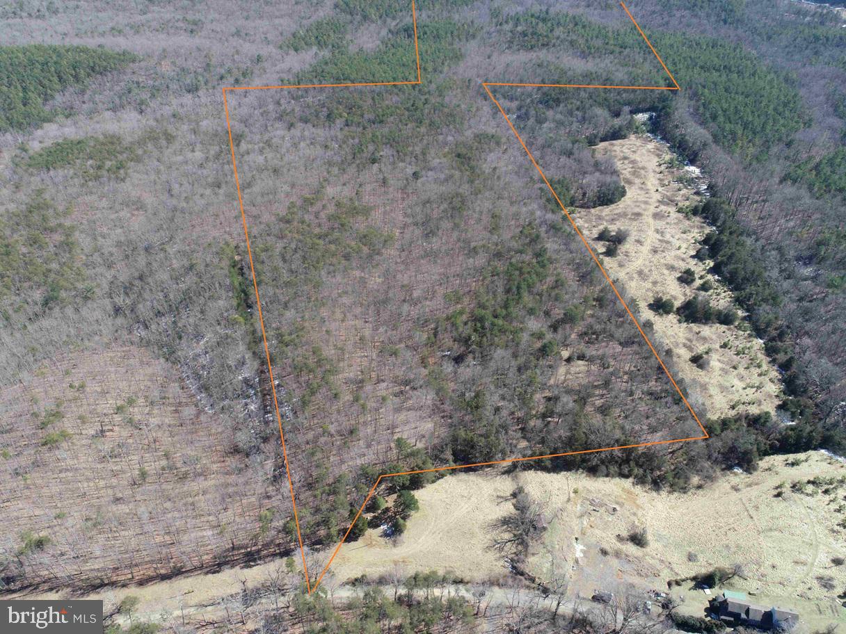 TURNPIKE (RT. 602) (TRACT: GIANNINI), SCOTTSVILLE, Virginia 24590, ,Farm,For sale,TURNPIKE (RT. 602) (TRACT: GIANNINI),VAAB2001048 MLS # VAAB2001048